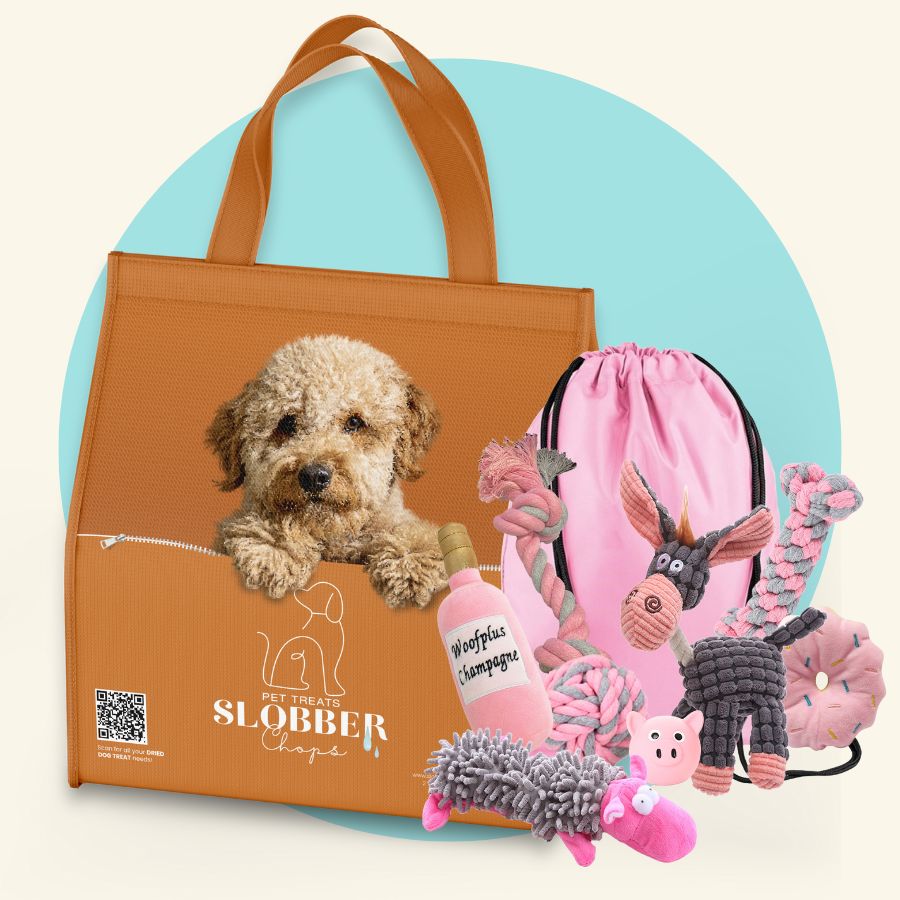Dog Toy Mega Pack + Orange Cooler Bag